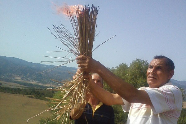 إشعال النار على رؤوس الجبال في موعد الإفطار في ريف سكيكدة