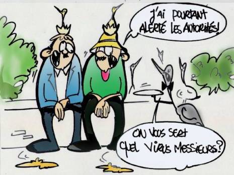 Une héronnière devient une menace pour la santé publique