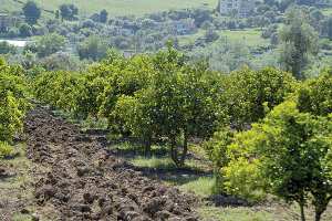 فلاحو بجاية يشتكون من عراقيل تطوير نشاطهم