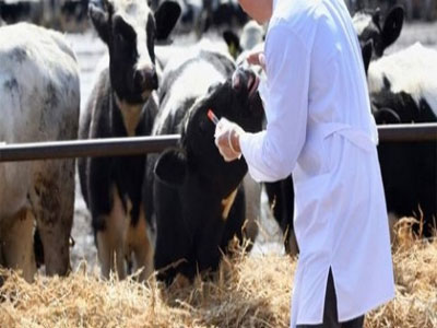 Après trois jours de grève