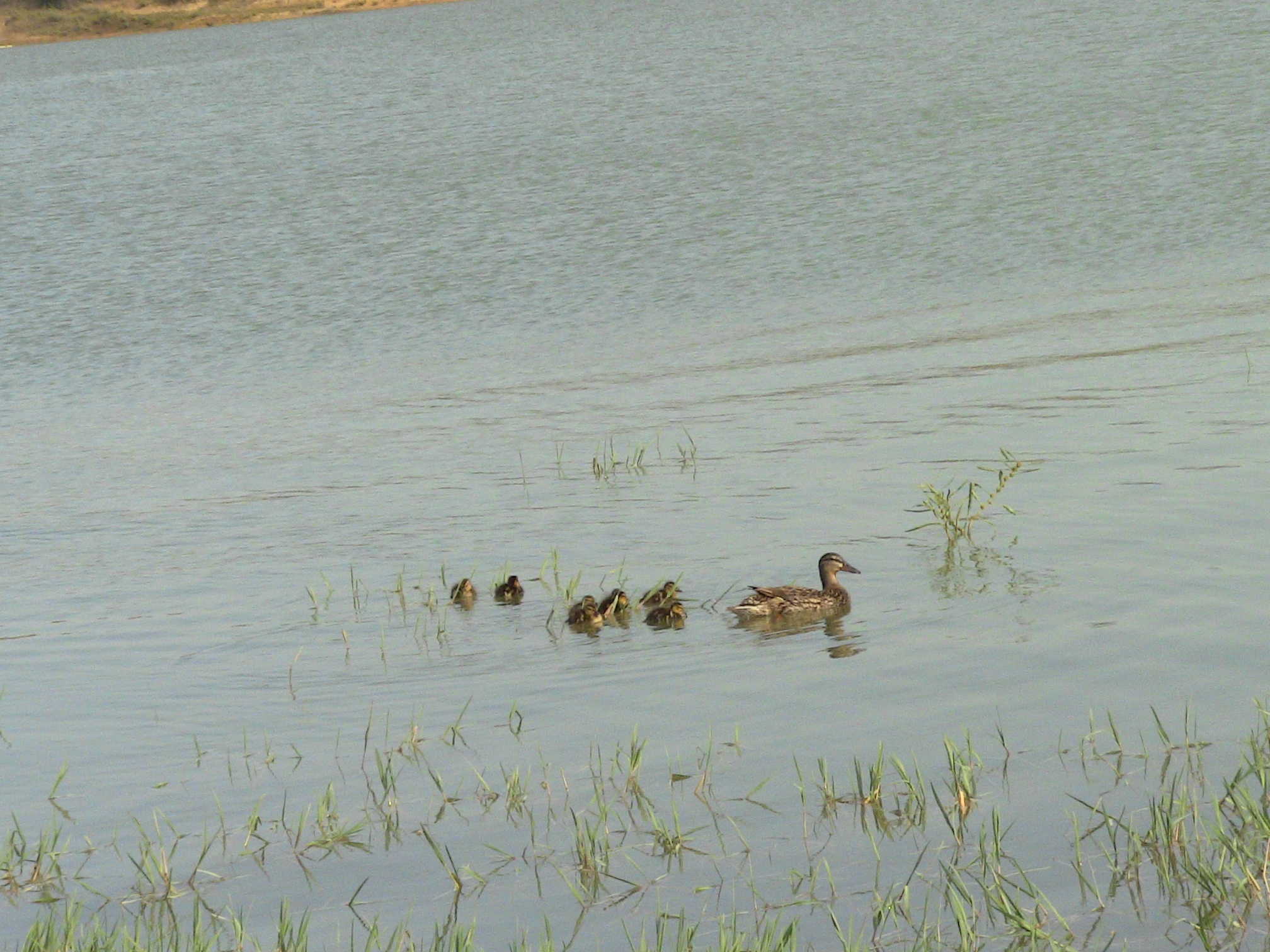 L'eau, une ressource vitale à protéger et à partager