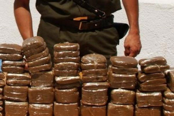 حجز 9 كلغ من الكيف ببلدية الناظور في تيبازة