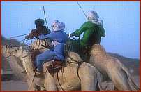 TAMANRASSET : LE TAFSIT    Chaque printemps à son printemps