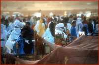 LA FETE DE DAGHMOULI    L'auréole de sainteté