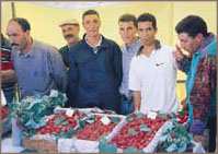 SKIKDA : LA FETE DE LA FRAISE
