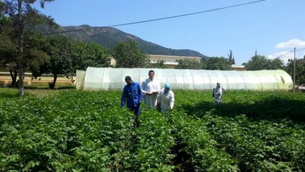 Formation professionnelle: les centres d’excellence doivent être adaptés aux besoins de l’économie nationale