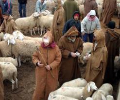 الجلفة              تفكيك أخطر شبكة مختصة في سرقة المواشي بحاسي بحبح