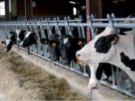 Près de 40 millions de litres collectés par an