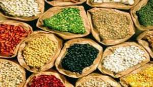 إنتاج وفير في مجال البقول الجافة بميلة