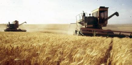 برنامج عمل بين الحماية المدنية ومحافظة الغابات لتأمين موسم الحصاد بعنابة