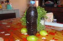 Ghardaïa / «Takerwait»