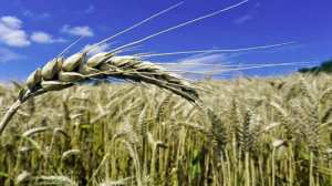 Une augmentation de 61% au cours des six dernières années