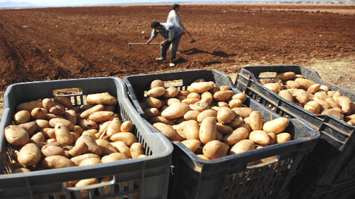 L'augmentation de la production est une nécessité