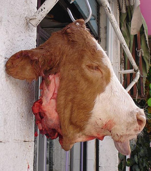 منتوج جديد لمؤسسة إيني سيدي بلعباس