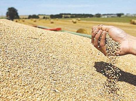 Une autre filière aux abois