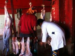 السكان متخوفون من ظهور أمراض خطيرة                ذبح للأغنام في ظروف غير صحية وغير شرعية بالوادي