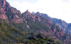 “الفجر” تزور إحدى المعالم الأثرية بالمدية               “الكهف الأخضر”.. متحف وطني يتحول إلى معقل للإرهاب والهماجية