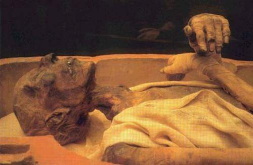 ما سر السائل الأبيض الذي يخرج من فم فرعون ؟