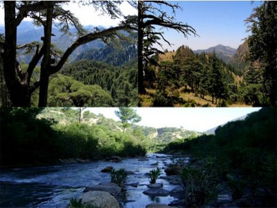 En vue d'en faire un substitut aux hydrocarbures