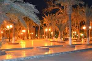 أطفال يحولون ساحة الحرية ببسكرة إلى مكان للقمار