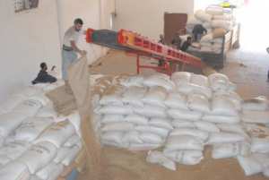 منتجو الحبوب بمعسكر يخفضون إنتاجهم تفاديا لمعاناتهم في التخزين