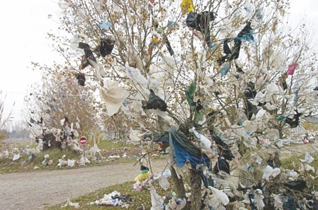 Incivisme et impunité mutilent le cadre de vie