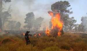 سيدي بلعباس