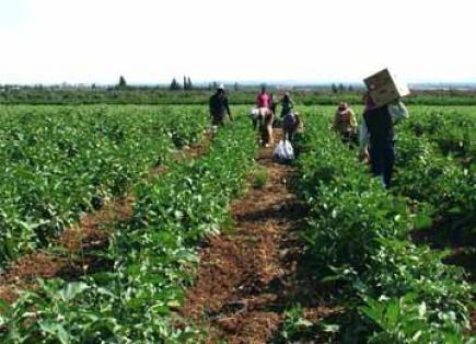 فلاحو باتنة يطالبون ببرنامج حقيقي للحواجز المائية