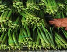 Guelma / Gastronomie