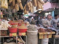 يعرف كل أنواع النباتات الغابية              كوخ عمي فرحات.. قبلة سكان أم البواقي للتداوي بالأعشاب