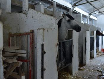 Dégradation avancée