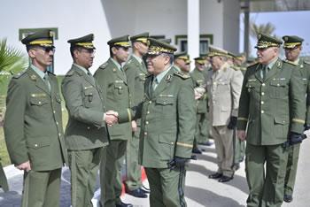 Nouba exige un haut niveau d'efficacité