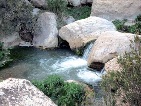 Un secteur tombé en friche