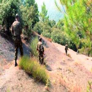 Un terroriste mis hors d'état de nuire à Jijel (MDN)