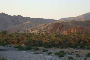 مشاكل العقار الفلاحي مازالت ترهن تطور القطاع في الوادي