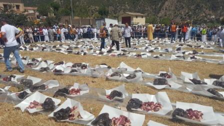 Louziaa de juillet 2016 à Lemroudj