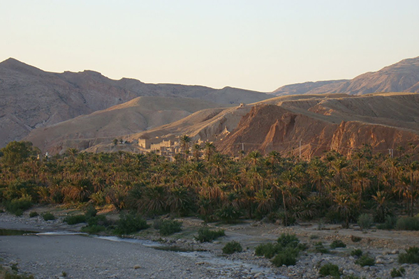 مشاكل العقار الفلاحي مازالت ترهن تطور القطاع في الوادي