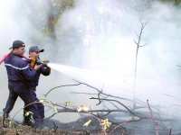 La part du feu, une fatalité '