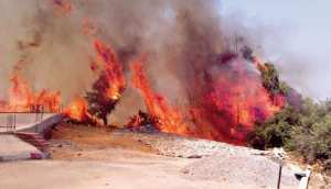 الحر يقتل 14 شخصا بأدرار وتمنراست