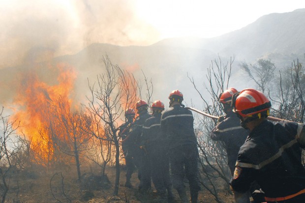 Des centaines d'hectares ravagés par les incendies en deux jours