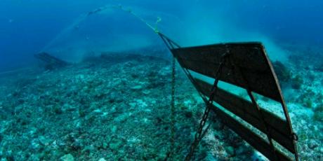 36 heures pour stopper la dévastation des océans
