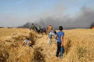 الحرائق تأتي على المحاصيل الزراعية وتهلك الثروة الحيوانية بميلة