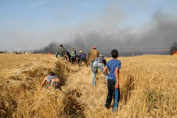 الحرائق تأتي على المحاصيل الزراعية وتهلك الثروة الحيوانية بميلة