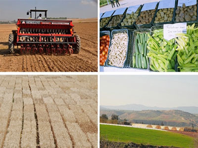 Afin d'atteindre l'autosuffisance alimentaire durable