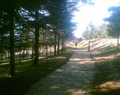 فيما تبقى حديقة بن شكاو الفضاء الأخضر الوحيد بولاية  المدية              معالم سياحية عريقة مهملة  ومواقع للتوسع في طي النسيان