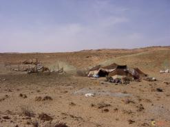 حياتهم بسيطة معتمدة على ما تجود به مشياتهم              البدو الرحل بالبيض يتحدون قساوة الطبيعة ويتشبثون بالعادات