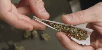 تفكيك شبكة للاتجار بالمخدرات بجيجل