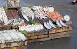 التحاليل أثبتت خطرها على صحة المستهلك              صناديق خشبية ممنوعة يباع فيها السمك بأسواق العاصمة