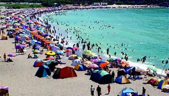 La sécurité des stades sera confiée à des 