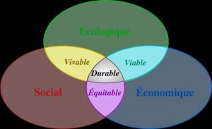 Tiaret - Le ' coin vert ' est de retour